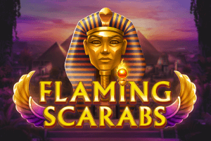 Flaming Scarabs